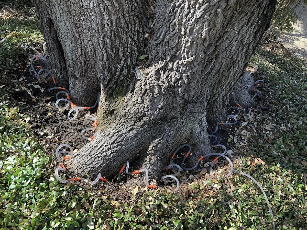 Detailed Shrub and Hedge Trimming job site in Floris